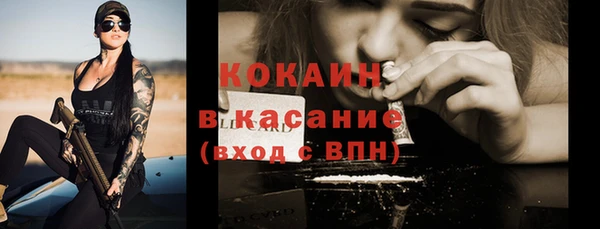 крисы Верея