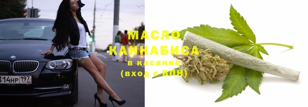 крисы Верея