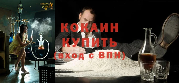 крисы Верея