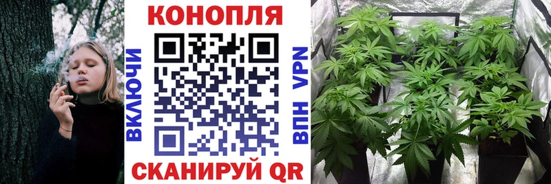 Шишки марихуана Amnesia  darknet Telegram  Уссурийск 
